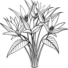 Bird of Paradise Flower Bouquet outline illustration coloring book page design, Bird of Paradise Flower Bouquet black and white line art drawing coloring book pages for children and adults