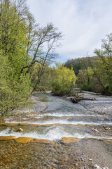 L'Allondon rivière sauvage et naturel juste avant l'embouchure du Rhône