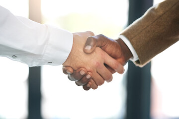 Handshake, hr management and candidate in agreement, deal or partnership in business, growth and...