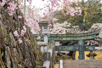 Kotohira, Kagawa, Japan - April 7 2024 : Torii Gate of Konpira Shrine ( aka Konpira-san or Kotohira-Gu ). Cherry blossoms bloom along the Sando visiting path in the spring. 