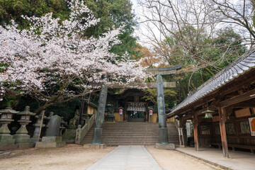 Kotohira, Kagawa, Japan - April 7 2024 : Torii Gate of Konpira Shrine ( aka Konpira-san or...