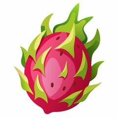 Dragon Fruit vector art illustration (2)