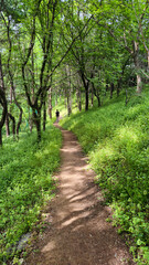 beautiful place in a park in Korea