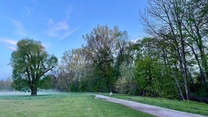 Sunrise and fog at dawn 5:00 AM end of April, Tiefurt Park in Weimar, Germany