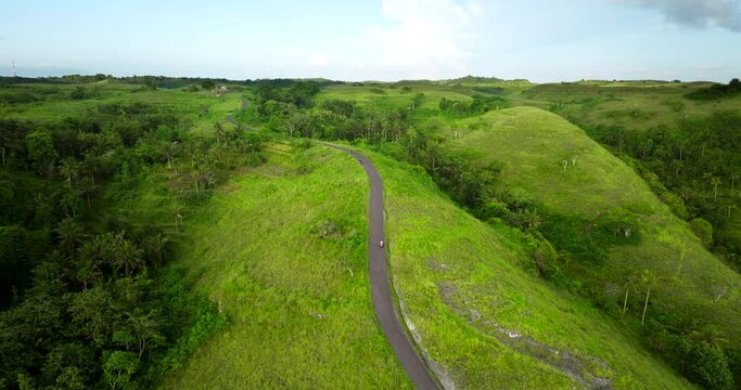 Balinese transport, green landscape, paradise tropical location, aerial
