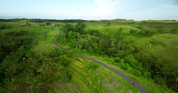 Lush green hills and serene Bali landscapes, evoke childhood nostalgia