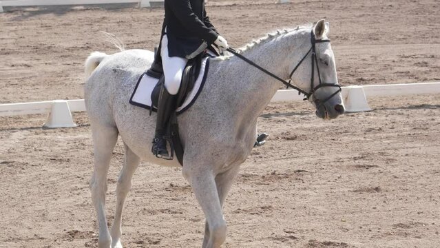 Man competes in dressage equestrian competition with elegant white horse. Slow motion 120 fps 4k.