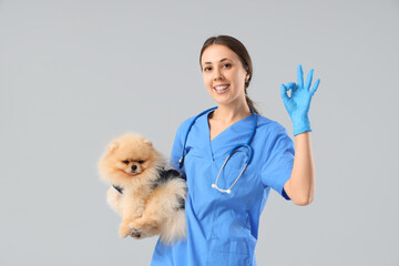 Veterinarian with Pomeranian dog in recovery suit after sterilization showing OK on light background