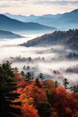 Autumn Mist in the Mountains