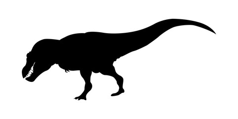 Dinosaur t-rex silhouette  isolated on white background