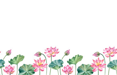 Lotus pink flowers and leaves. Watercolor illustration hand-painted on a white background. Seamless horizontal border. A bundle of water lilies for clipart, spa.