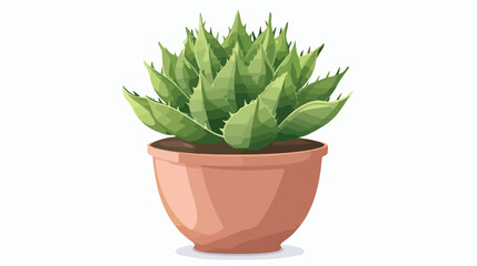 Succulent plant in pot on white background Vector style