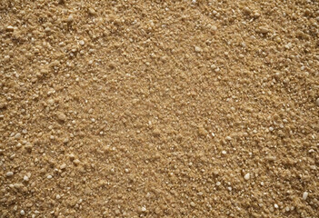 Sand texture with sparkling beige backgrounds abstract