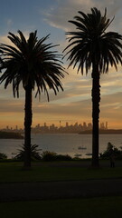 Obraz premium Golden Hour Sydney Australia Sunset