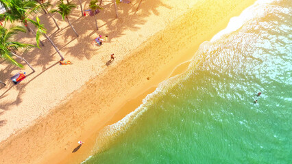 Beach Bliss: Crowds of tourists bask on a sun-soaked beach, shaded by coconut trees. The crystalline emerald waters create a picturesque coastal scene. Pattaya, Thailand. Sea and beach background.
