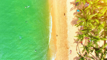 Tropical Oasis: Tourists flock to a vibrant beach, framed by lush coconut trees. The sea's emerald...