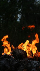 fire in the fireplace