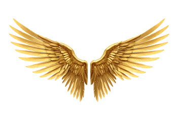 Fototapeta premium golden wings