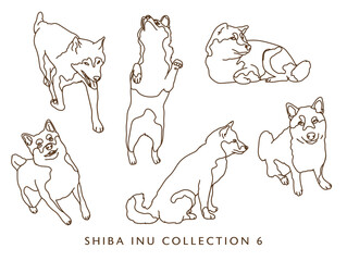 Shiba Inu Dog Outline Illustrations in Various Poses - Collection 6