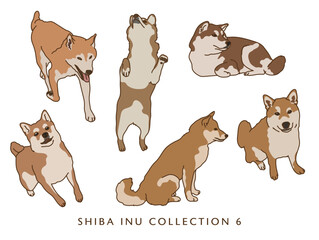 Shiba Inu Dog Color Illustrations in Various Poses - Collection 6