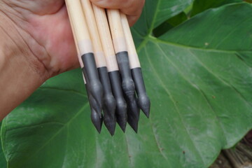 natural arrows on leaves