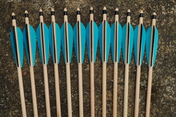 natural arrows