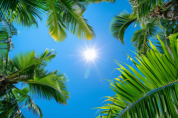 Tropical Background with Palm Trees