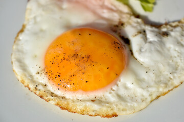 Close up fried egg on plate. Macro egg yolk sprinkled with black pepper