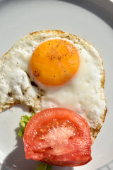 Close up fried egg with tomato on plate.  Top view