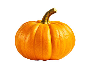 a pumpkin with stem on a white background