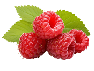 a group of raspberries with leaves