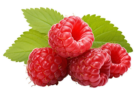 a group of raspberries with leaves