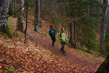 HIkers with backpacks on a trail in a rainy day - 800985308