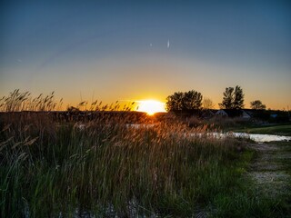 Sunset over Lake Neusiedl in Austria, coloring the reed belt and water in picturesque hues