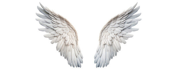 angel wings on transparent background