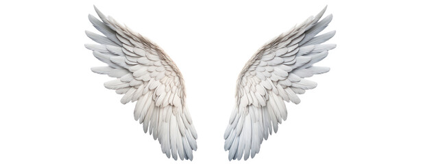 angel wings on transparent background