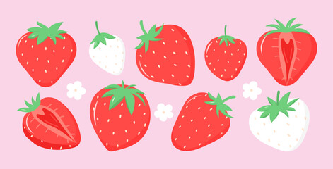 Set of different strawberry berries. Vector illustration for print, package, flyer