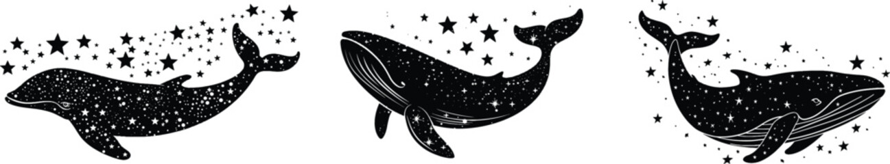 Set of a whale, vector illustration.