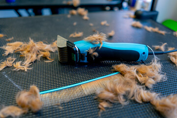 close-up in a grooming salon red wool and comb trimmer after cutting on a professional blue table