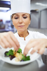 Chef, plate and hands of woman in restaurant for catering service, fine dining or prepare dish. Hospitality, presentation and female person for cooking meal, food industry or dinner in kitchen