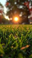 Close-up view of dew on grass with the sun setting in the background