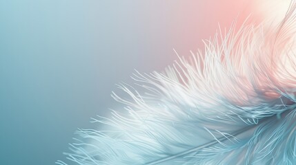 Obraz premium fondo azul . primer plano de pluma de ave