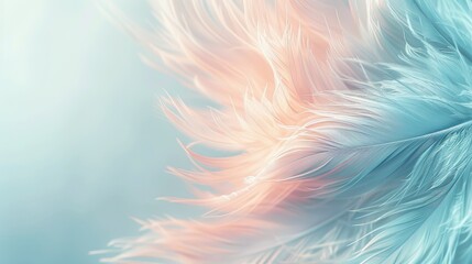 fondo azul . primer plano de pluma de ave