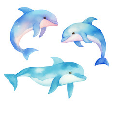 Cute dolphin watercolor hand drawn transparent background