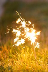 small sparklers in a grassy area on the ground near some grass