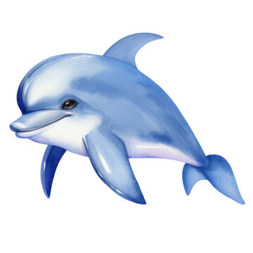 recommend clip art: Cute dolphin watercolor hand drawn transparent background
