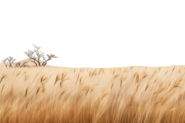 Golden grassland stretching to the horizon with scattered trees under a pale sky, evoking the vastness of the savanna. Generative AI