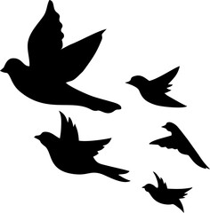 Bird Silhouette