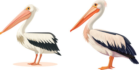 Pelican cartoon bird icon