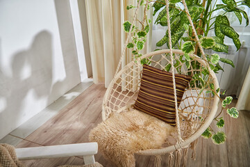 A modern cozy beautiful room with a braided rope macrame chair, green plant Diffenbachia and curtains. Interior and background. Location for photo shooting